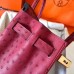 Hermes Birkin 30 Handmade Bag In Ruby Ostrich Skin
