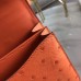 Hermes Constance 18 Handmade Bag In Orange Ostrich Leather