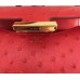Hermes Constance 18 Handmade Bag In Red Ostrich Leather
