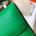 Hermes Constance 24 Handmade Bag In Bambou Epsom Leather