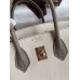 Hermes HSS Birkin 25 Bicolor Bag in Craie and Gris Asphalt Epsom Calfskin