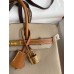 Hermes HSS Birkin 25 Bicolor Bag in Trench and Gold Epsom Calfskin