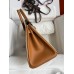 Hermes HSS Birkin 25 Bicolor Bag in Trench and Gold Epsom Calfskin