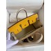 Hermes HSS Birkin 25 Bicolor Bag in Jaune dor and Craie Epsom Calfskin