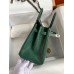 Hermes Birkin 25 Retourne Handmade Bag In Malachite Lizard Leather