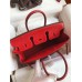 Hermes Birkin 25 Retourne Handmade Bag In Red Lizard Leather
