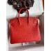 Hermes Birkin 25 Retourne Handmade Bag In Red Ostrich Leather