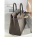 Hermes Birkin 25 Sellier Handmade Bag In Etain Epsom Calfskin