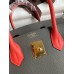 Hermes HSS Birkin 30 Bicolor Bag in Etain and Piment Epsom Calfskin