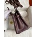 Hermes Shadow Birkin 25 Limited Edition Bag In Chocolat Swift Calfskin