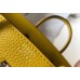 Hermes Birkin 25cm Bag In Yellow Clemence Leather GHW
