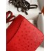 Hermes Constance 18 Handmade Bag In Red Ostrich Leather