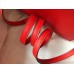 Hermes Kelly Mini II Bag In Rouge Casaque Epsom Leather GHW