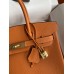 Hermes Birkin 25 Handmade Bag In Orange Clemence Leather