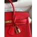 Hermes Birkin 25 Handmade Bag In Red Clemence Leather