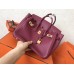 Hermes Birkin 25 Handmade Bag In Ruby Clemence Leather