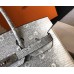 Hermes Birkin 25cm Bag In Ombre Embossed Natural Lizard