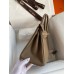Hermes Birkin 25 Handmade Bag In Taupe Epsom Calfskin