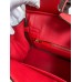 Hermes Birkin 25 Handmade Bag In Red Epsom Calfskin