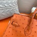 Hermes Birkin 25 Handmade Bag In Orange Ostrich Leather