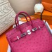 Hermes Birkin 25 Handmade Bag In Rose Red Ostrich Leather